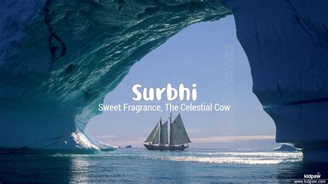 surbhi meaning in hindi|सुरभी .